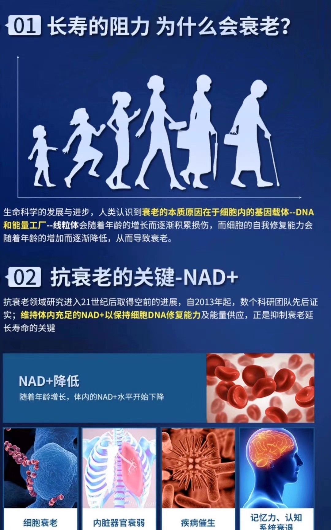 古特生物 01長壽的阻力 為什么會衰老?02 抗衰老的關鍵-NAD+