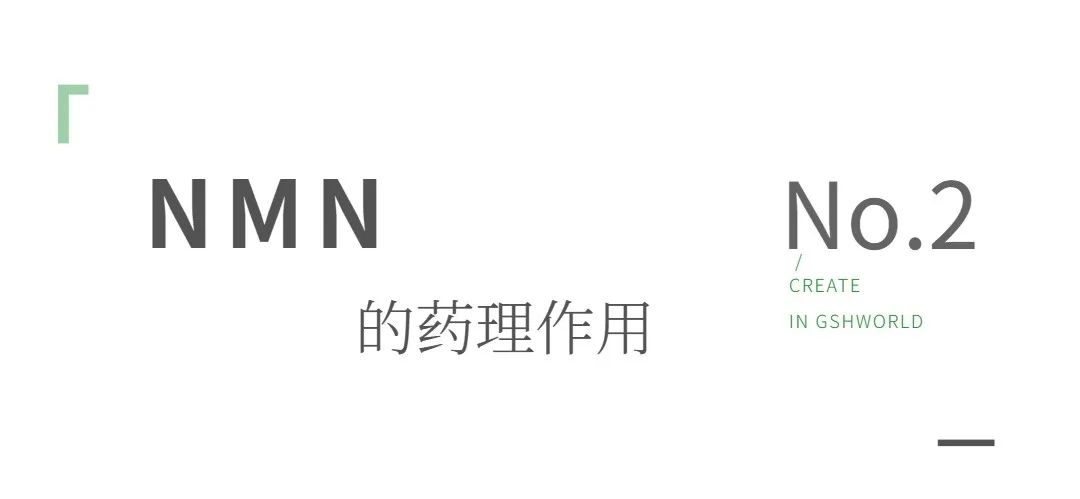 古特生物 古特生物