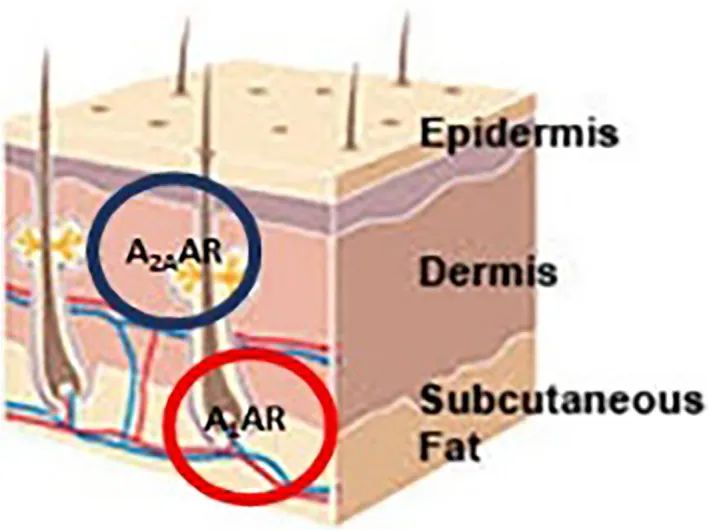 古特生物 古特生物