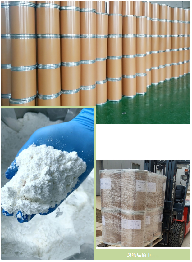 古特生物 古特生物