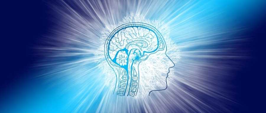 古特生物 肌肉力量和身體機能的增強