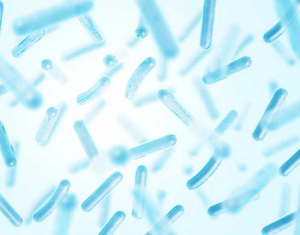 古特生物 NMN調節腸道菌群