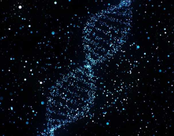 煙酰胺核糖氯化物有什么優勢？