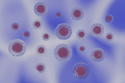 硫辛酸的獨特作用與聯合應用