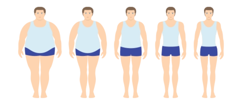 對肥胖“氧化應激-炎癥”循環的阻斷作用