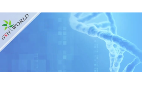 煙酰胺和nmn區別？煙酰胺單核苷酸(NMN) 的化合物