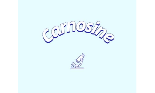 肌肽補充劑或可改善年輕群體認知