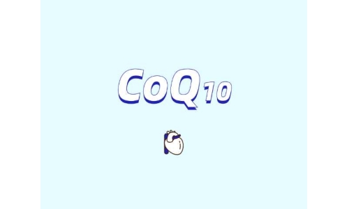 輔酶Q10補(bǔ)充劑對人體有什么用途？